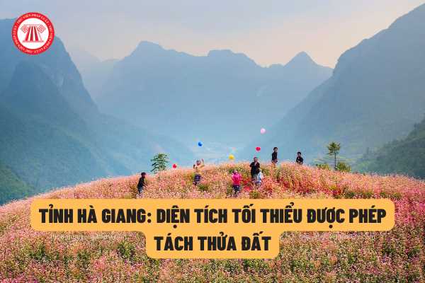 Diện tích tối thiểu được phép tách thửa đất trên địa bàn tỉnh Hà Giang là bao nhiêu theo quy định của pháp luật?