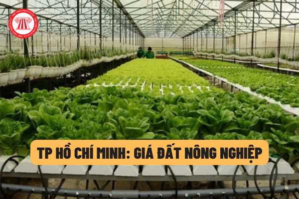Giá đất nông nghiệp ở TP Hồ Chí Minh là bao nhiêu? Giá đất mà TP Hồ Chí Minh áp dụng sẽ được căn cứ để làm gì?