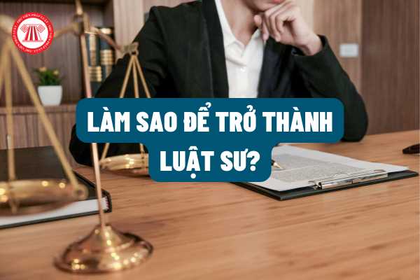 Làm sao để có thể trở thành luật sư? Việc đào tạo nghề luật sư được pháp luật quy định ra sao?