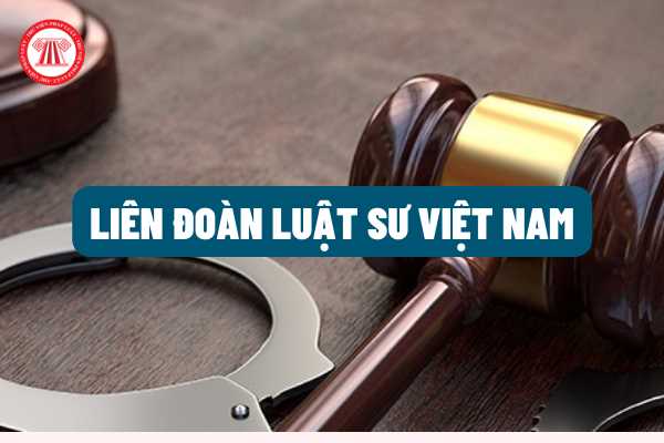 Liên đoàn luật sư Việt Nam là gì? Nhiệm vụ, quyền hạn và điều lệ của Liên đoàn luật sư Việt Nam được pháp luật quy định như thế nào?