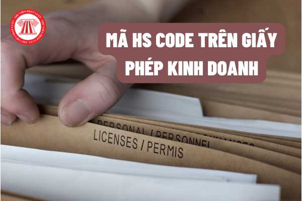 Có cần thể hiện mã HS code trên Giấy phép kinh doanh khi Giấy phép kinh doanh được điều chỉnh hay không?