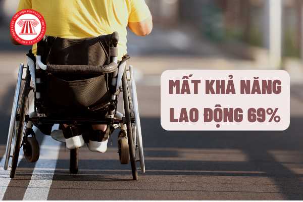 Bị giám định là mất khả năng lao động 69% thì sẽ được Sở Lao động - Thương binh và Xã hội hỗ trợ phục hồi chức năng lao động như thế nào?