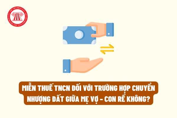 Có được áp dụng quy định miễn thuế thu nhập cá nhân đối với trường hợp chuyển nhượng đất giữa mẹ vợ – con rể không?