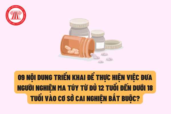 09 nội dung nào cần triển khai để thực hiện việc đưa người nghiện ma túy từ đủ 12 tuổi đến dưới 18 tuổi vào cơ sở cai nghiện bắt buộc?