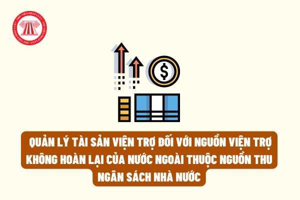 Chức năng của cơ quan chủ quản trong quản lý tài sản viện trợ đối với nguồn viện trợ không hoàn lại của nước ngoài thuộc nguồn thu ngân sách nhà nước?