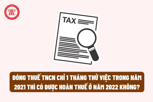 Đóng thuế thu nhập cá nhân (thuế TNCN) chỉ 1 tháng thử việc trong năm 2021 thì có được hoàn thuế ở năm 2022 không?