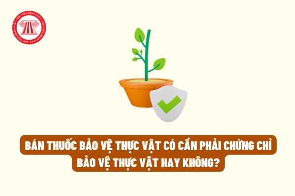 Bán thuốc bảo vệ thực vật có cần phải chứng chỉ bảo vệ thực vật hay không theo quy định của pháp luật?