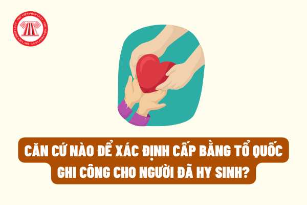 Căn cứ nào để xác định cấp bằng Tổ quốc ghi công cho người đã hy sinh theo quy định của pháp luật?