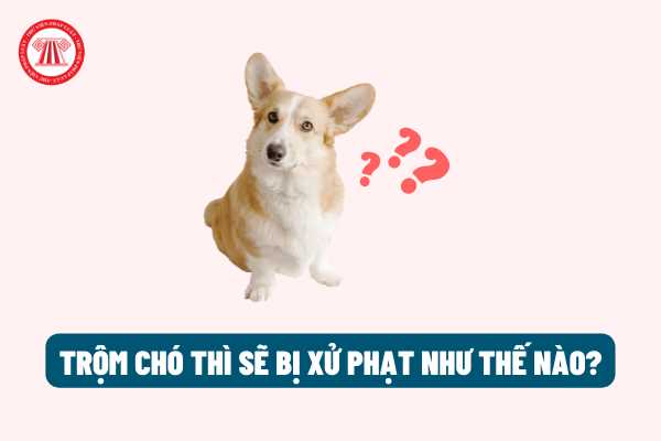 Chó có được xem là tài sản hay không? Trộm chó thì sẽ bị xử phạt như thế nào theo quy định của pháp luật?