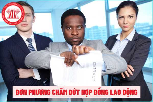 Người lao động đơn phương chấm dứt hợp đồng lao động có được hưởng trợ cấp thất nghiệp theo quy định hiện hành không?