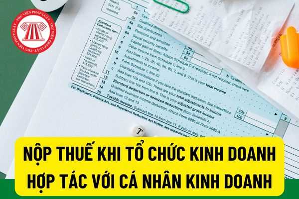 Tổ chức kinh doanh hợp tác với cá nhân kinh doanh thì việc kê khai nộp thuế được quy định như thế nào?