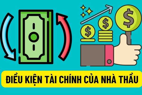 Trách nhiệm và điều kiện tài chính của nhà thầu trong quá trình tham gia Hệ thống đấu thầu qua mạng theo Thông tư 08/2022/NĐ-CP?