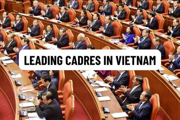 To obtain a vote of confidence for leading cadres in Vietnam, must consider practical experience and political, ethical, and lifestyle qualities?