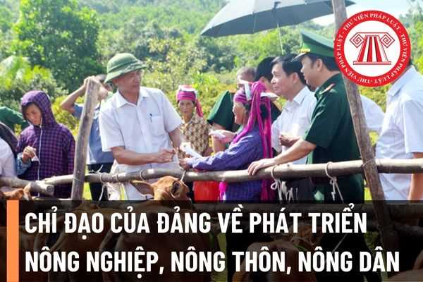 Phát triển nông nghiệp hiệu quả: Đẩy mạnh tích tụ, tập trung đất đai; phát triển nông nghiệp theo hướng hiện đại, quy mô lớn?