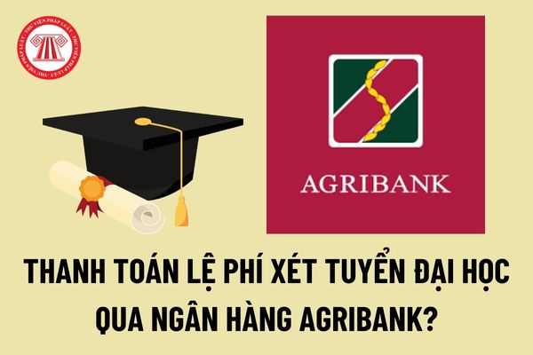 Hướng dẫn nộp lệ phí đăng ký nguyện vọng đại học online 2022 qua kênh ngân hàng Agribank như thế nào?