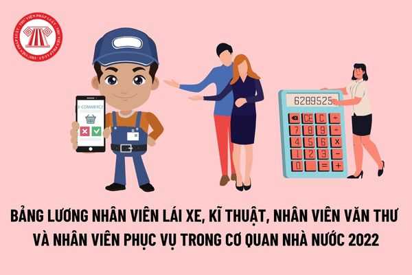 Bảng lương nhân viên lái xe, kĩ thuật, nhân viên văn thư và nhân viên phục vụ trong cơ quan đơn vị sự nghiệp của Nhà nước 2022 là bao nhiêu?