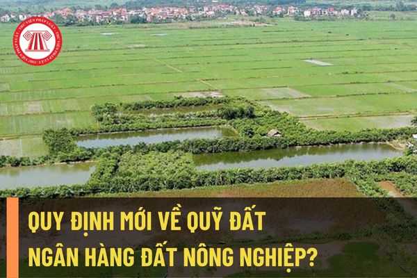 Bổ sung chương quy định về Qũy đất tại Dự thảo Luật đất đai (sửa đổi)? Quy định cụ thể về ngân hàng đất nông nghiệp?