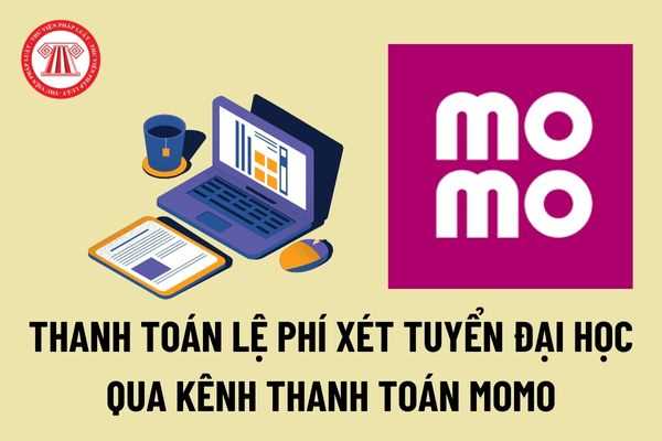 Hướng dẫn nộp lệ phí đăng ký nguyện vọng đại học online 2022 qua kênh thanh toán qua Momo như thế nào?