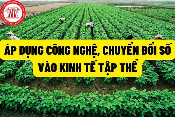 Phấn đấu đến năm 2045 thu hút tối thiểu 20% dân số tham gia các tổ chức kinh tế tập thể, áp dụng công nghệ, chuyển đổi số vào nền kinh tế tập thể?