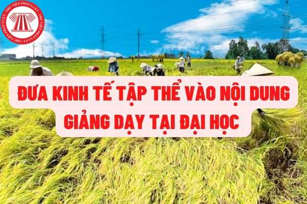 Đưa nội dung đào tạo về kinh tế tập thể vào chương trình của một số trường đại học, giảng dạy kinh tế tập thể cho cán bộ, đảng viên được quy định như thế nào?