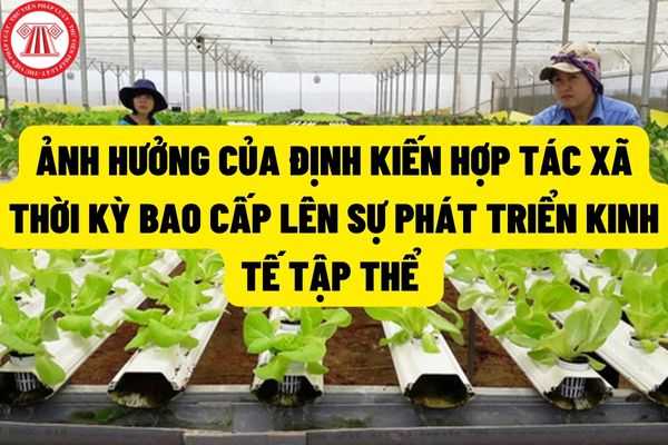 Định kiến về mô hình hợp tác xã thời kỳ bao cấp ảnh hưởng như thế nào lên sự phát triển của kinh tế tập thể trong giai đoạn mới?