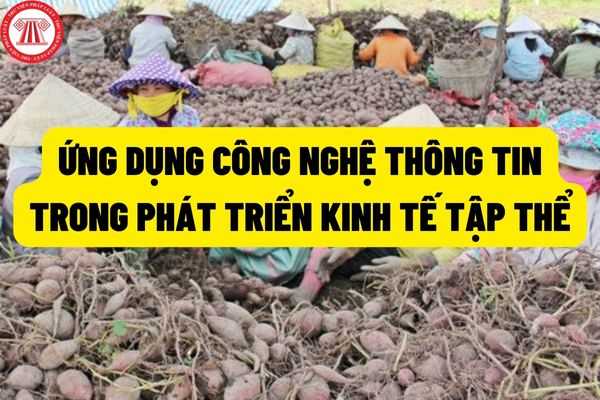 Ứng dụng công nghệ thông tin, chuyển đổi số trong quản lý, từng bước xây dựng, hoàn thiện hệ thống cơ sở dữ liệu quốc gia về kinh tế tập thể?