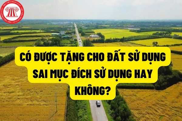 Theo quy định của pháp luật thì có được chuyển nhượng, tặng cho đất sử dụng sai mục đích sử dụng đất hay không?