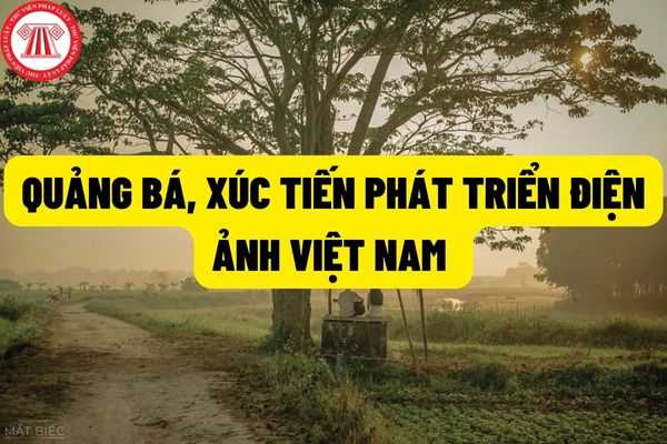 Quảng bá phim Việt Nam, bản sắc văn hóa, đất nước, con người Việt Nam trong hoạt động quảng bá, xúc tiến phát triển điện ảnh?