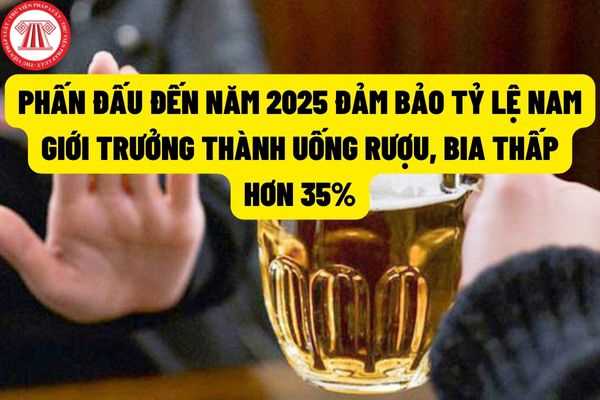 Phấn đấu đến năm 2025: Đảm bảo tỷ lệ cứ 10 nam giới trưởng thành thì có ít hơn 3,5 người uống rượu bia?