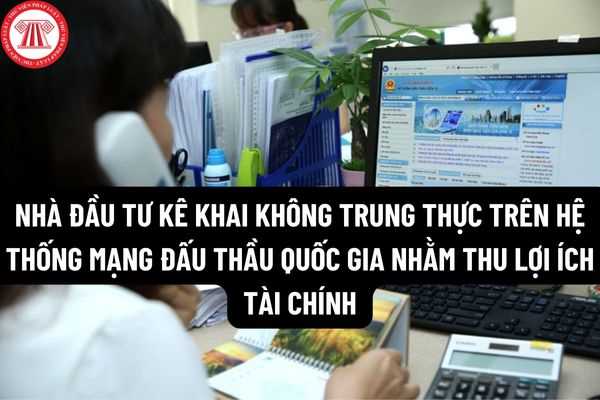 Nhà đầu tư kê khai không trung thực trên hệ thống mạng đấu thầu quốc gia nhằm thu lợi ích tài chính thì được xử lý như thế nào?