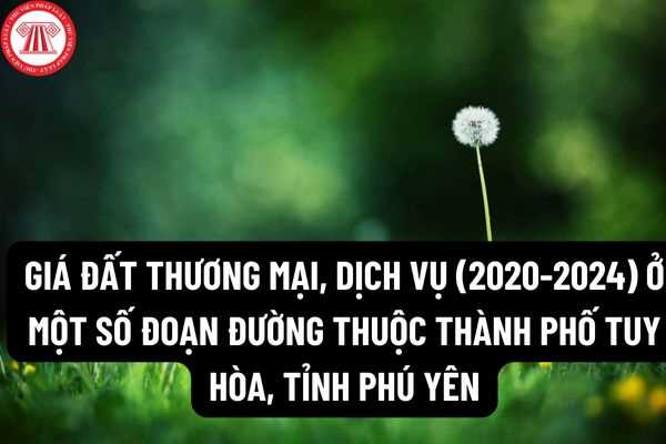 Giá đất thương mại, dịch vụ (2020-2024) ở một số đoạn đường thuộc thành phố Tuy Hòa, tỉnh Phú Yên hiện tại là bao nhiêu?