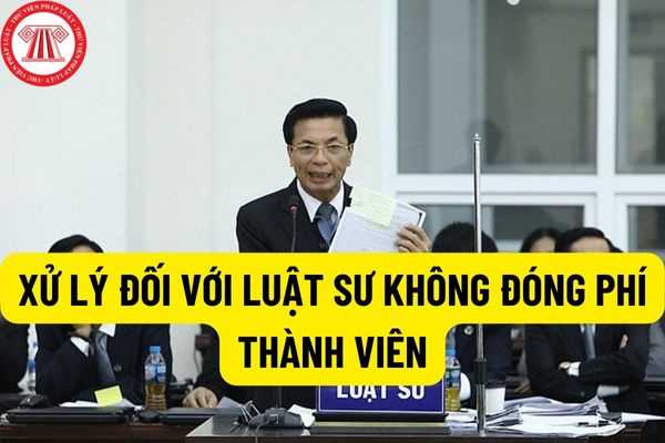 Luật sư không đóng phí thành viên quá 06 tháng đến dưới 12 tháng sẽ bị xử lý như thế nào theo quy định tại Điều lệ Liên đoàn Luật sư Việt Nam?