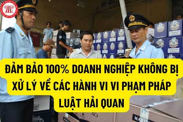 Đảm bảo 100% doanh nghiệp sau 2 năm tham gia chương trình tự nguyện tuân thủ pháp luật hải quan không bị xử lý về các hành vi vi phạm pháp luật hải quan?