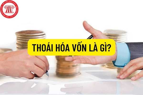 Tìm hiểu thoái hóa vốn là gì để hiểu đầy đủ quá trình thoái vốn trong doanh nghiệp