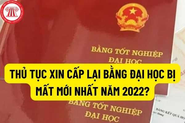 Mất bằng đại học xin cấp lại được không? Thủ tục xin cấp lại bằng đại học bị mất mới nhất năm 2022?