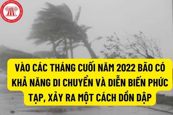 Trung tâm dự báo khí tượng thủy văn quốc gia cảnh báo: Vào các tháng cuối năm 2022 bão có khả năng di chuyển và diễn biến phức tạp, xảy ra một cách dồn dập?