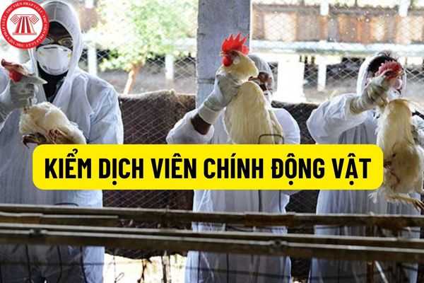 Kiểm dịch viên chính động vật: Kể từ ngày 6 tháng 10 năm 2022 không còn yêu cầu trình độ ngoại ngữ bậc 3 theo quy định tại Thông tư số 01/2014/TT-BGDĐT?