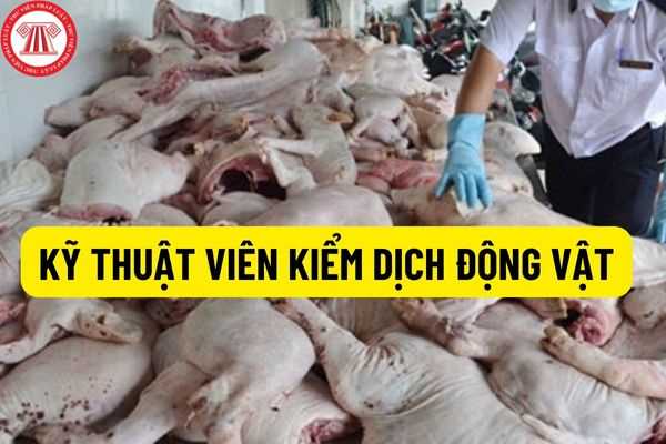 Kỹ thuật viên kiểm dịch động vật có bắt buộc phải có trình độ ngoại ngữ bậc 1 theo quy định tại Thông tư số 01/2014/TT – BGDĐT hay không?