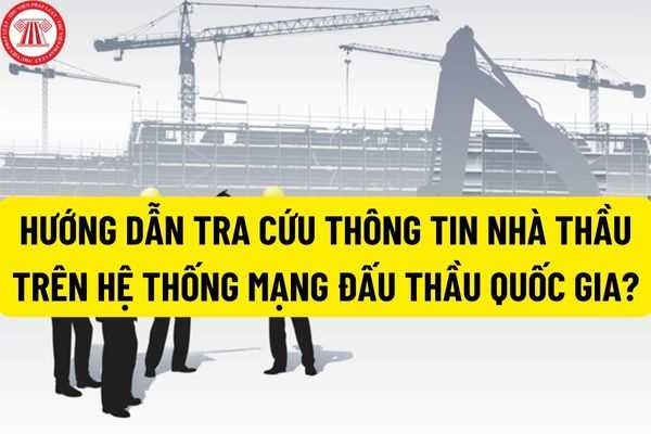 Nhà thầu, nhà đầu tư là gì? Hướng dẫn tra cứu thông tin nhà thầu trên hệ thống mạng đấu thầu quốc gia?