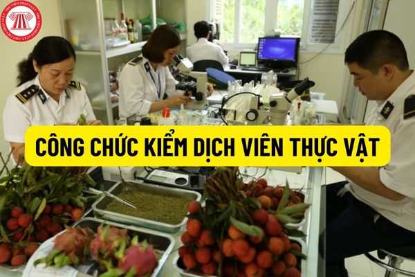 Thông tư 08/2022/TT/BNNPTNT: bãi bỏ quy định về trình độ ngoại ngữ bậc 2 và trình độ tin học đạt chuẩn đối với công chức kiểm dịch viên thực vật?