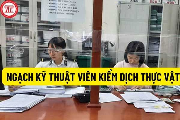 Thông tư 08/2022/TT/BNNPTNT: bãi bỏ quy định về yêu cầu có trình độ ngoại ngữ bậc 1 theo quy định tại Thông tư 01/2014/TT - BGDĐT đối với ngạch kỹ thuật viên kiểm dịch thực vật?