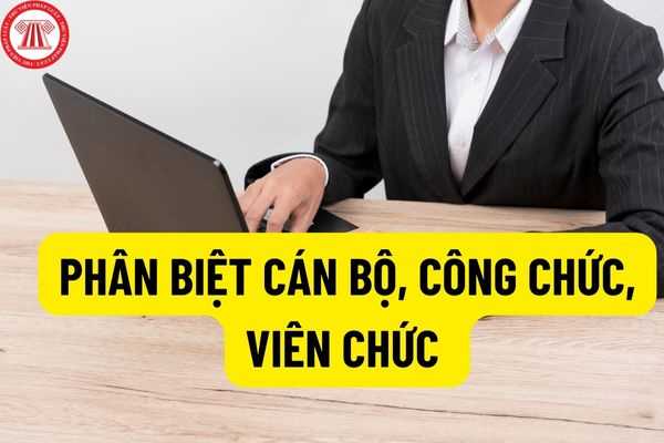 Tổng quan về phân biệt công chức và viên chức ở Việt Nam
