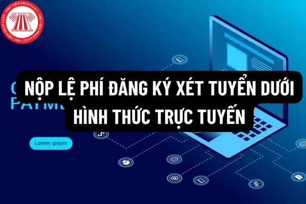 Thí sinh thực hiện nộp lệ phí đăng ký xét tuyển dưới hình thức trực tuyến theo lịch mở hệ thống được Bộ GDĐT phân chia từ ngày 21/8/2022 đến 17 giờ ngày 28/8/2022?