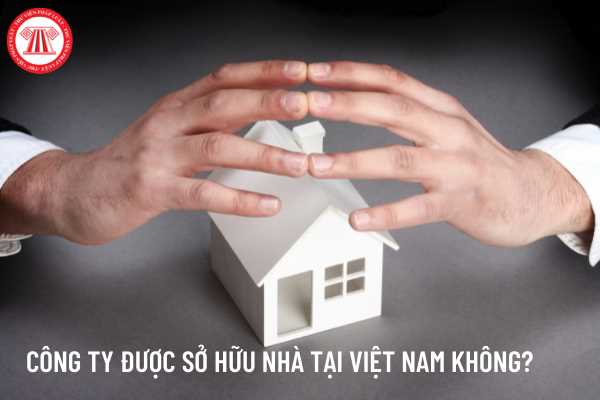 Công ty trách nhiệm hữu hạn một thành viên có được sở hữu nhà ở tại Việt Nam không?