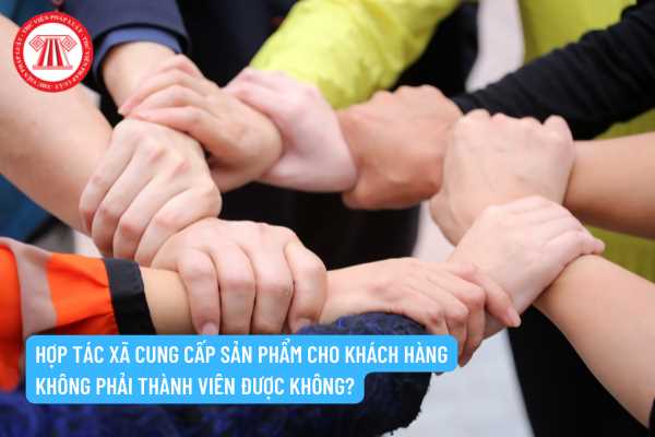 Hợp tác xã có được phép cung cấp sản phẩm, dịch vụ cho khách hàng không phải thành viên không?