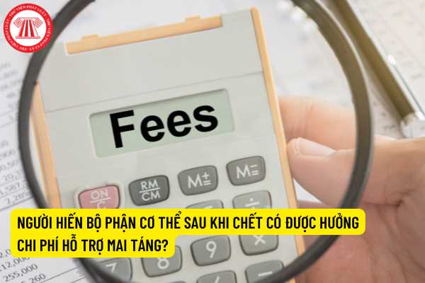 Chức năng của các bộ phận cơ thể?
