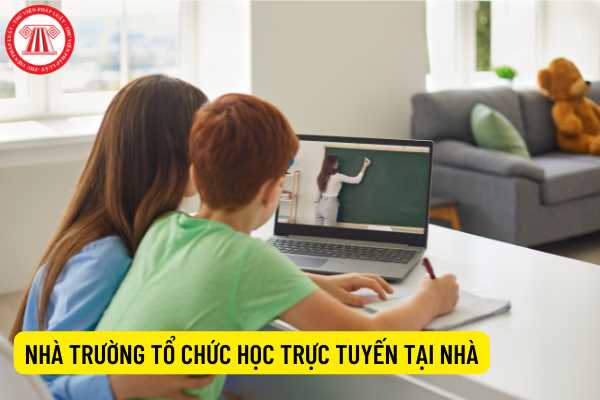 Nhà trường tổ chức học trực tuyến tại nhà