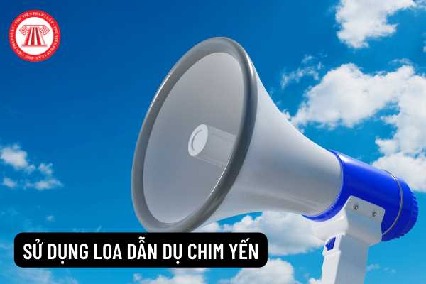 Sử dụng loa dẫn dụ chim yến