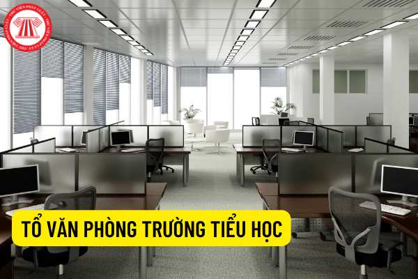 Tổ văn phòng trường tiểu học