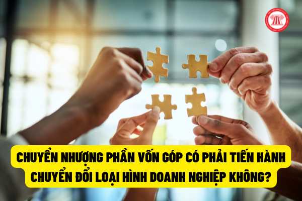 Chuyển nhượng phần vốn góp có phải tiến hành chuyển đổi loại hình doanh nghiệp không? Nếu có mà không thực hiện thì có bị xử lý không?